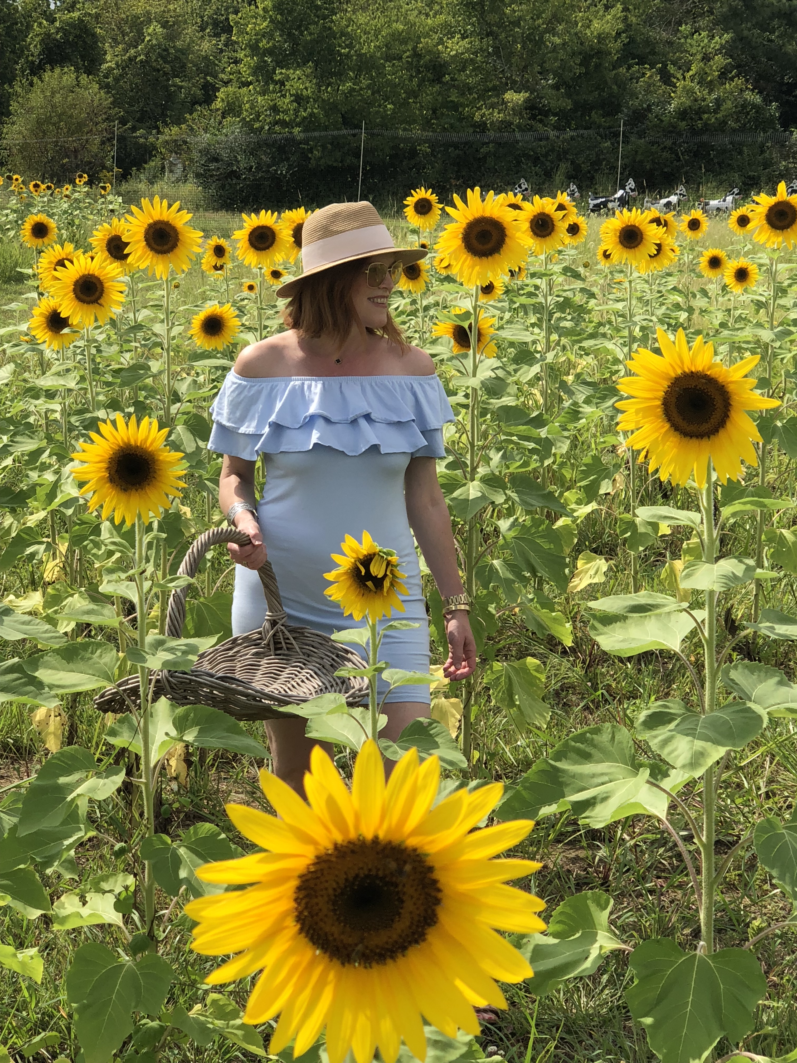 Sunflowers Picking & Thoughts on Self-Care